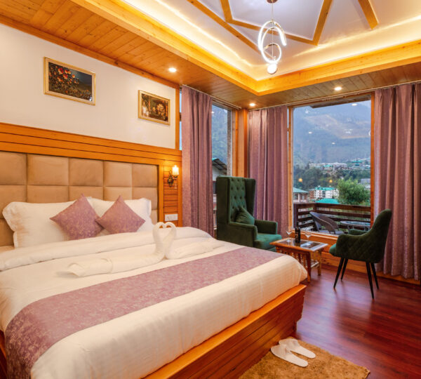 Premium Room Hamta view